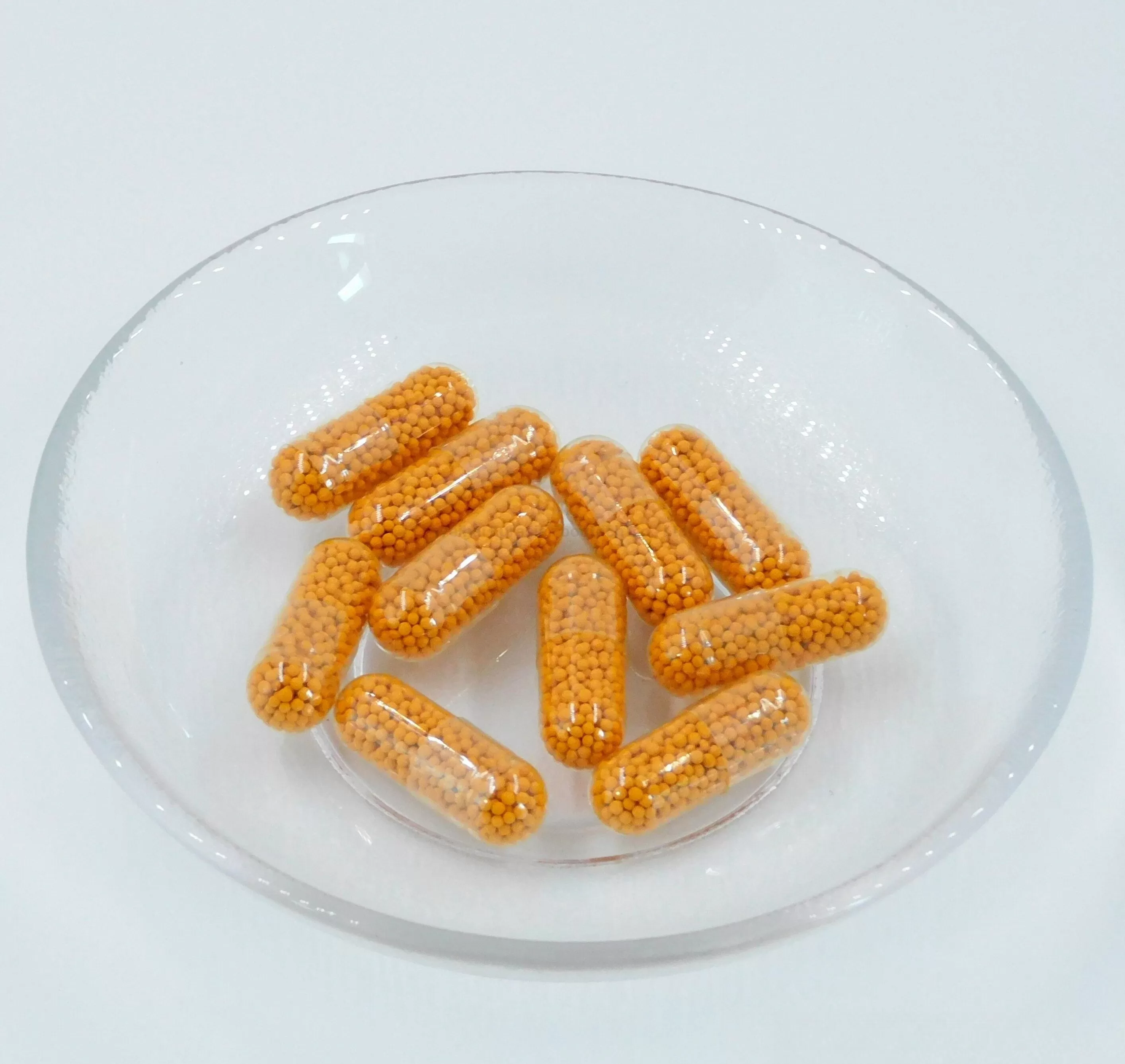 95% Curcumin Plus Piperine SR Pellet Capsules