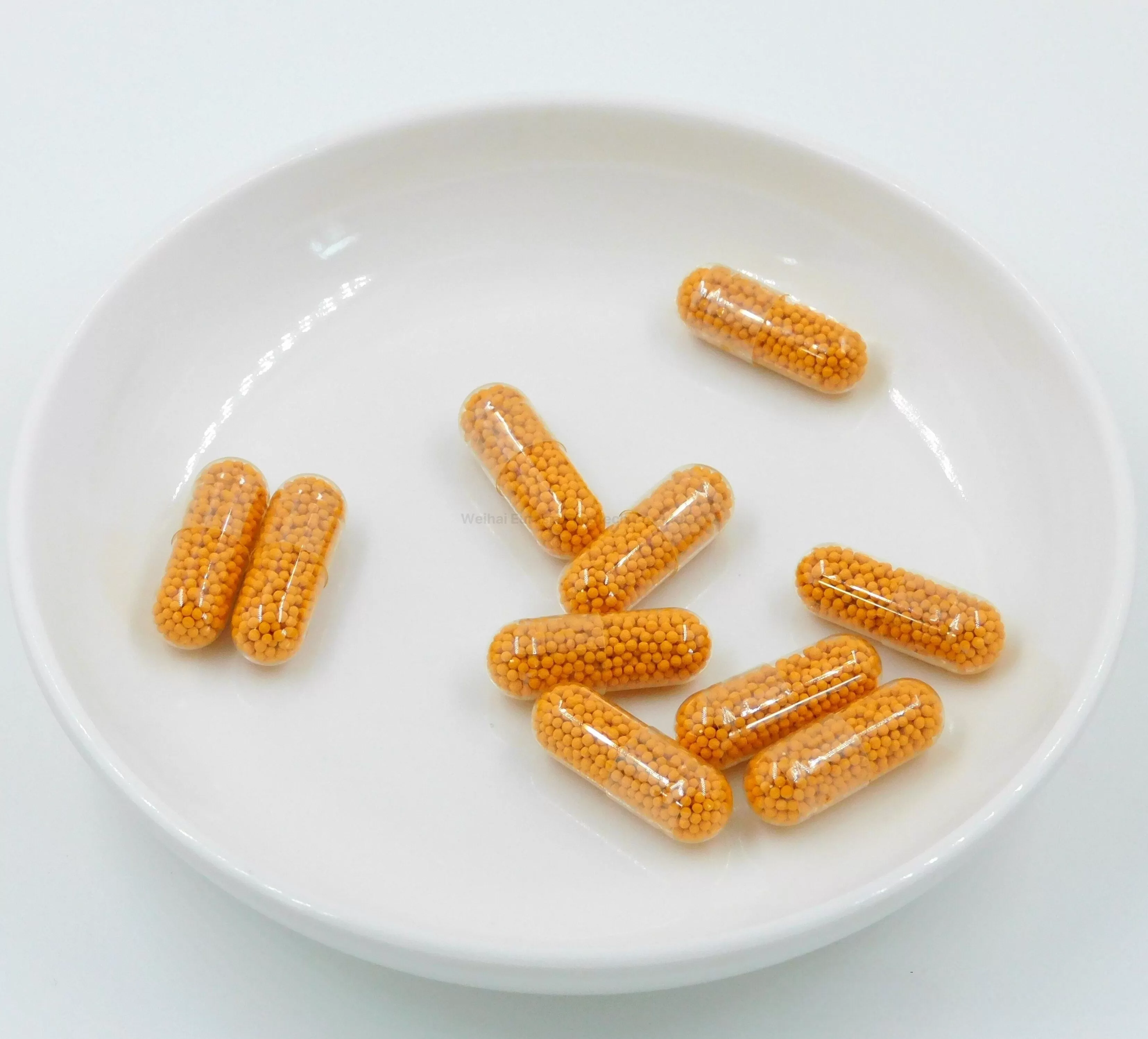 95% Curcumin Plus Piperine SR Pellet Capsules